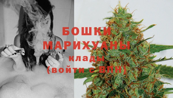 шишки Абинск