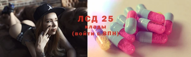 шишки Абинск