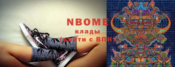 шишки Абинск