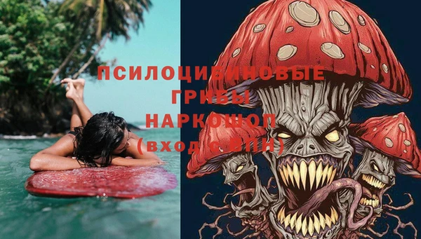 шишки Абинск
