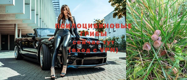 шишки Абинск