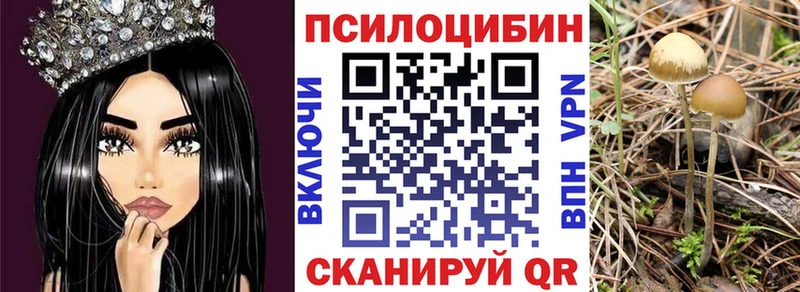 Псилоцибиновые грибы Psilocybine cubensis  Вичуга 