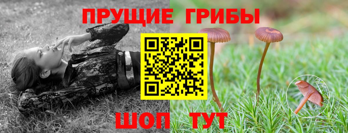 Псилоцибиновые грибы Psilocybine cubensis  Вход с VPN  Вичуга  Галлюциногенные грибы GOLDEN TEACHER 