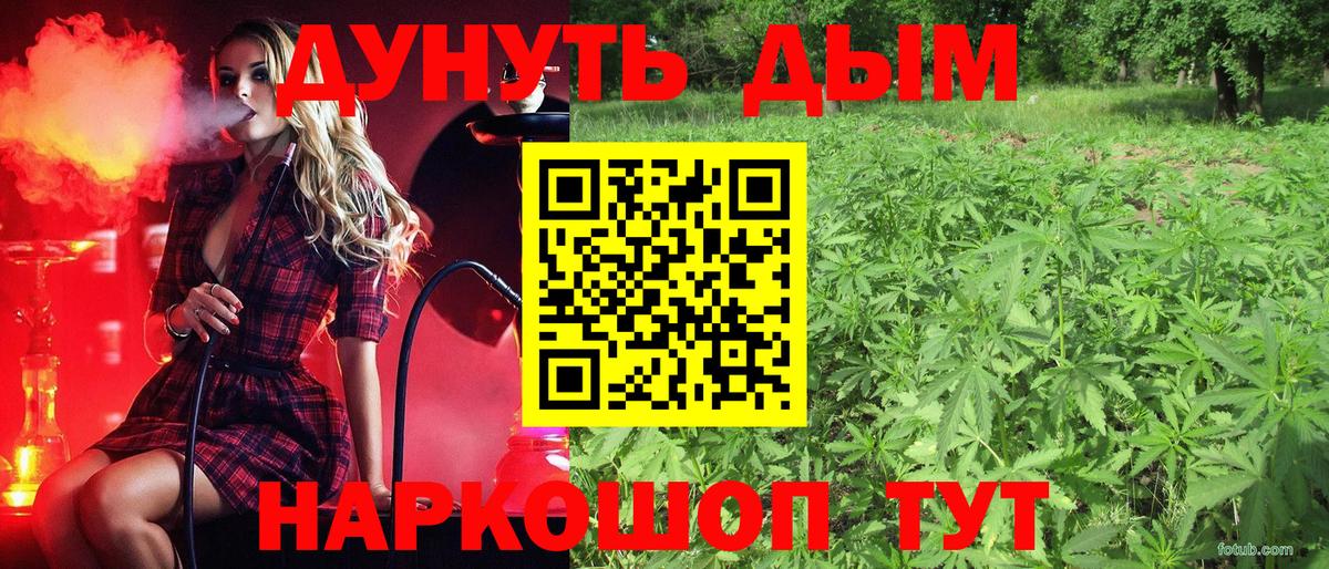 Бошки Шишки марихуана Вичуга